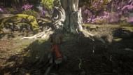 Plant the seed in this spot (Image via Digital Extremes)
